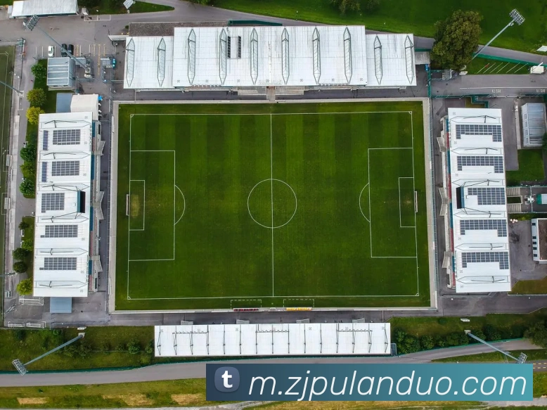 千亿体育平台生态图